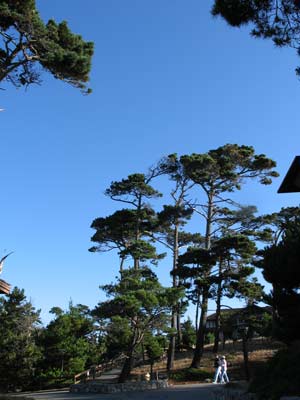 Grounds at Asilomar in Pacific Grove, CA